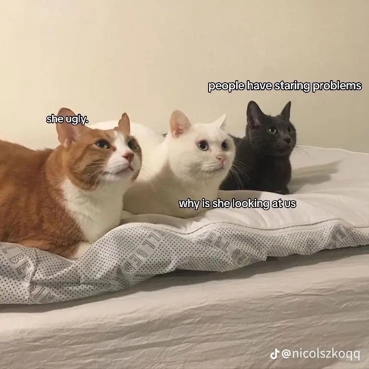 Fin
