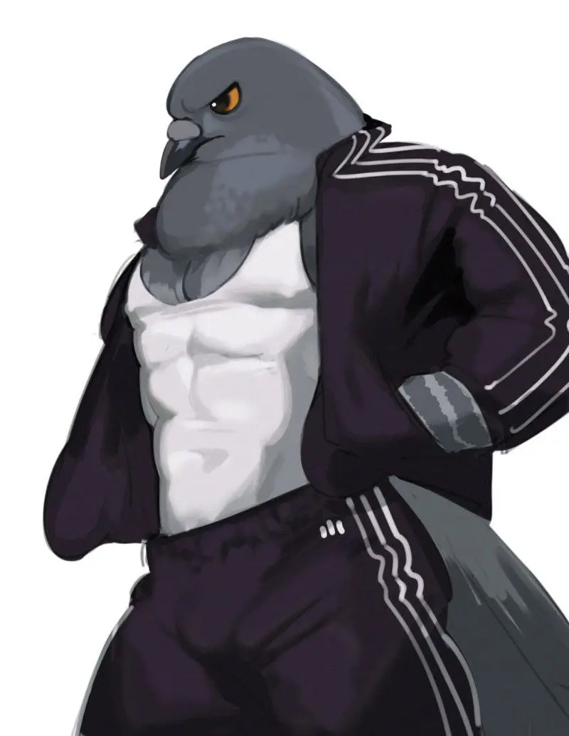 Pigeon Dude