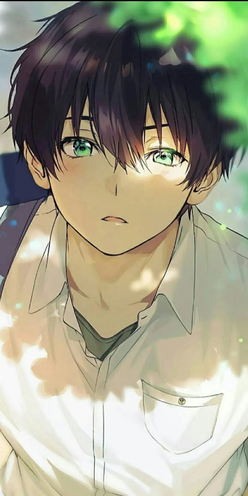 Tadashi