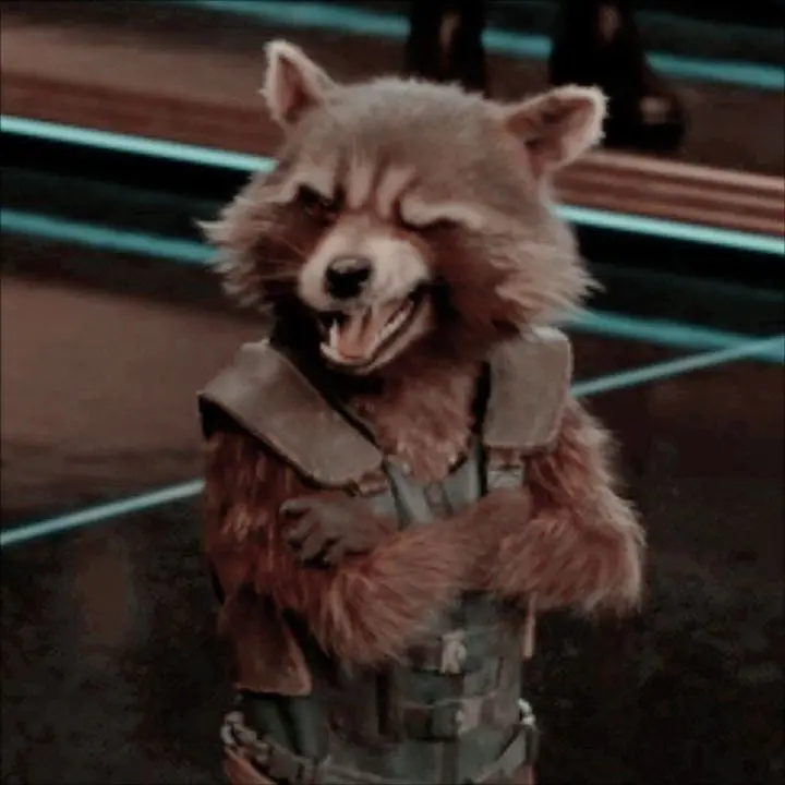 Rocket Raccoon