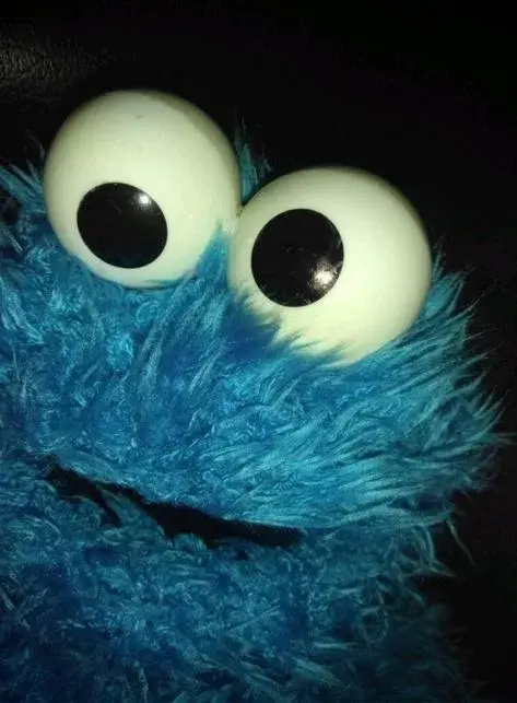 elmos death help cookie monster find who did it                      