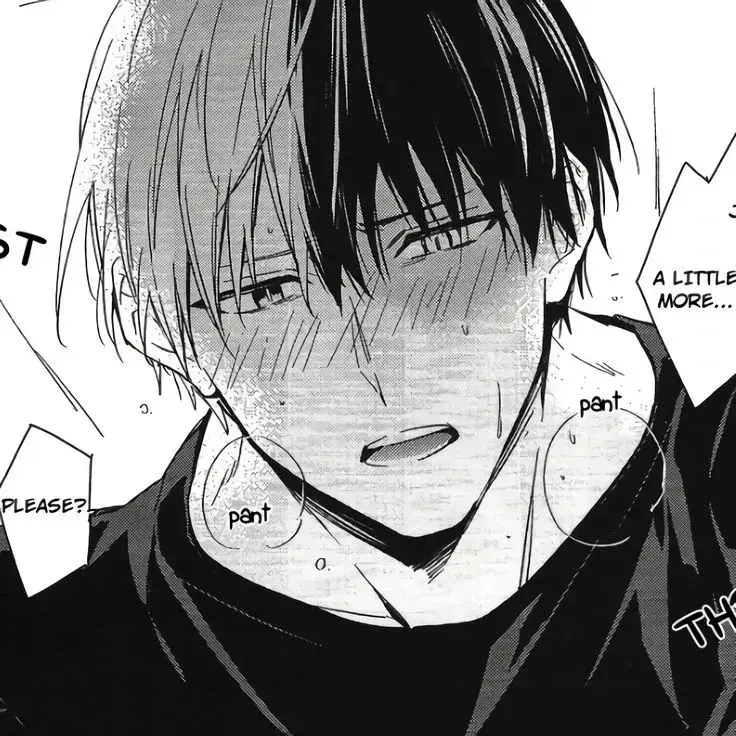Shoto Todoroki 