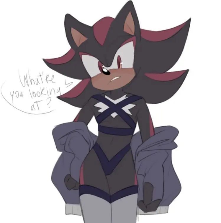 Shadow the hedgehog 