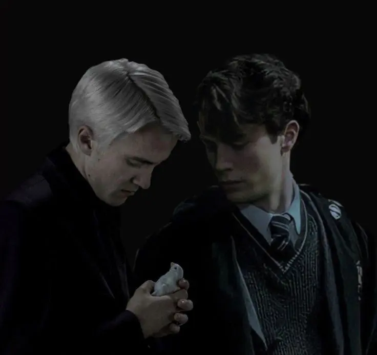 Tom riddle and Draco Malfoy