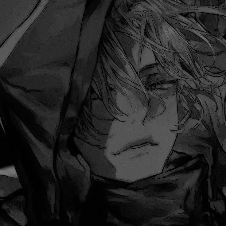 noah 