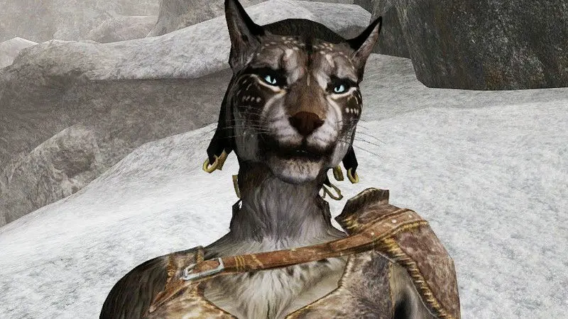 Ellerin