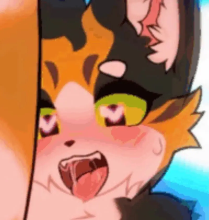 Grace the calico cat