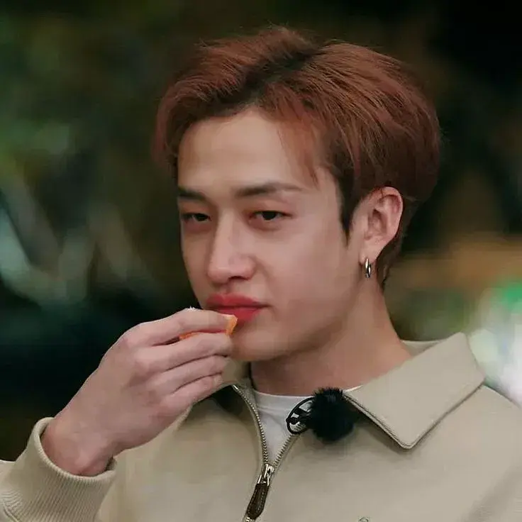 Bang Chan 