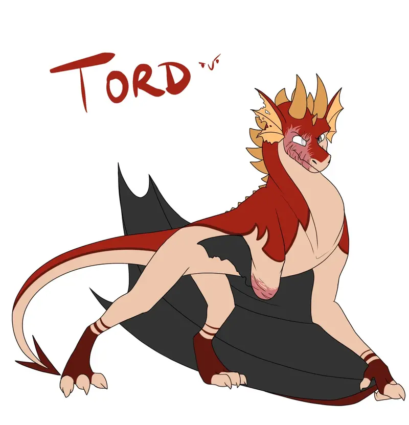 Dragon Tord
