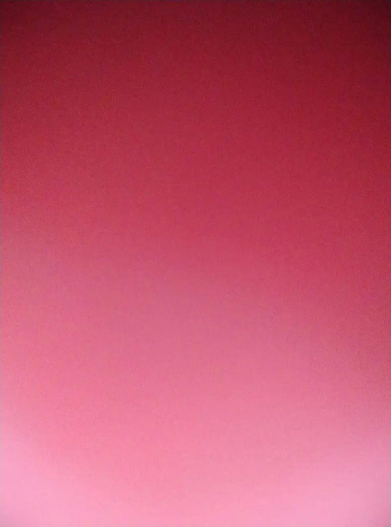 Avestruz 