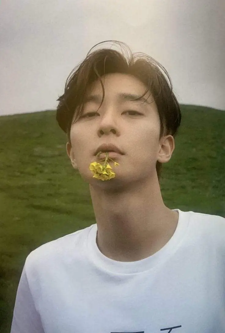 Park Seo Joon