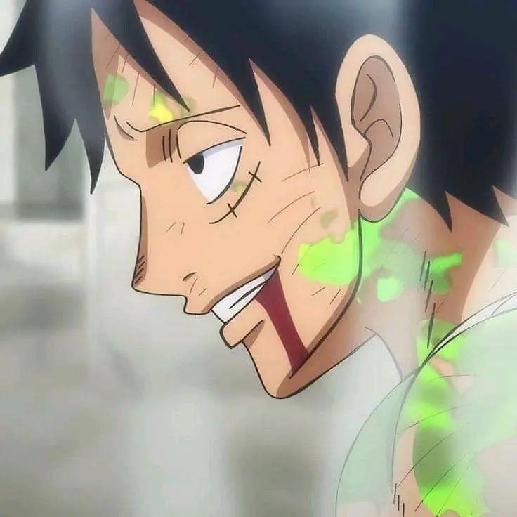 Luffy!!