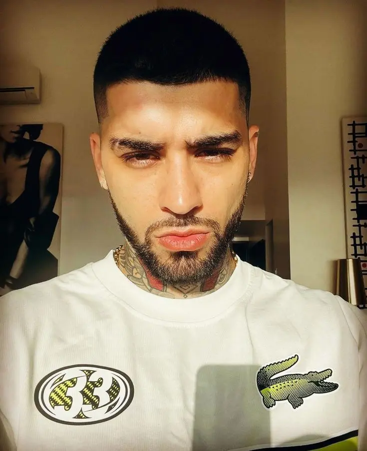Zayn Malik