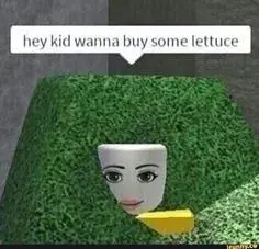 i make codes for u 