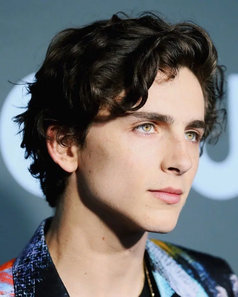Timothée Chalamet