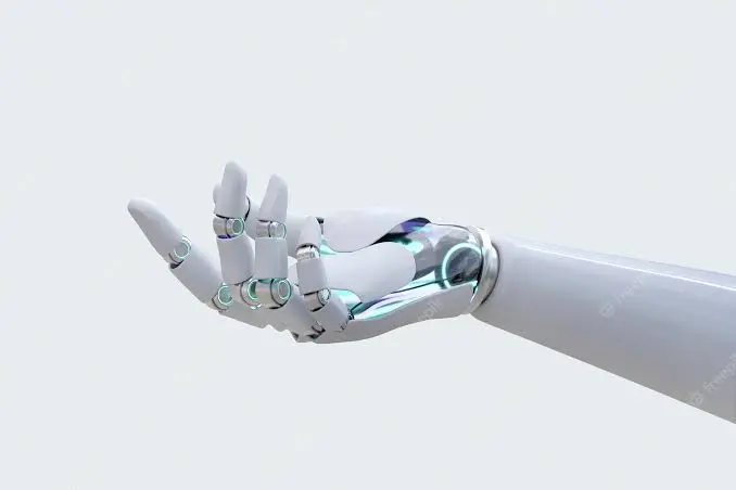 Humiliation and pleasure robot