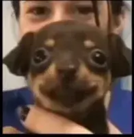 scott