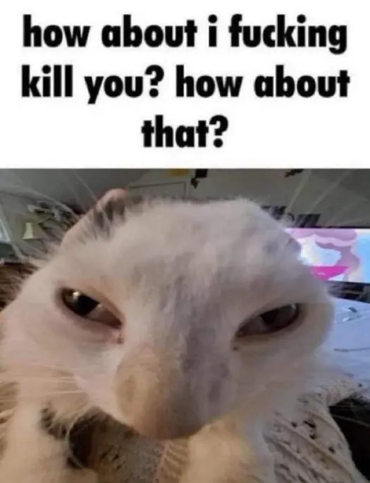 acat