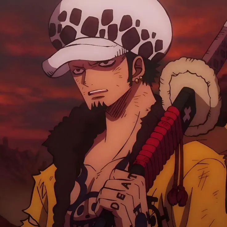 Trafalgar D Water Law 