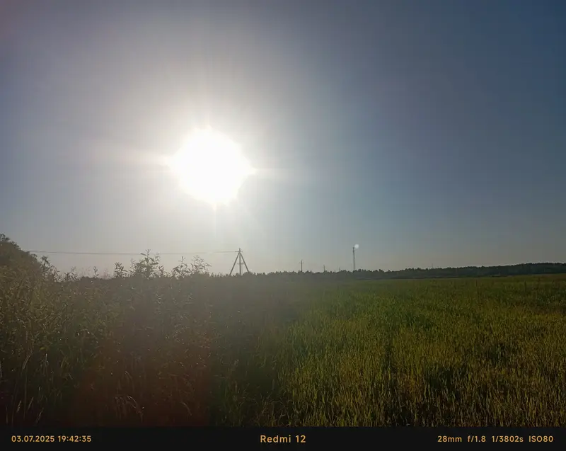 Алена