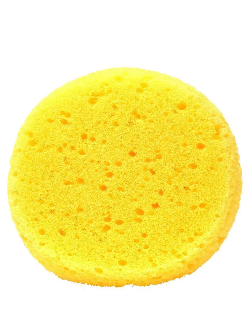 Sexy Sponge