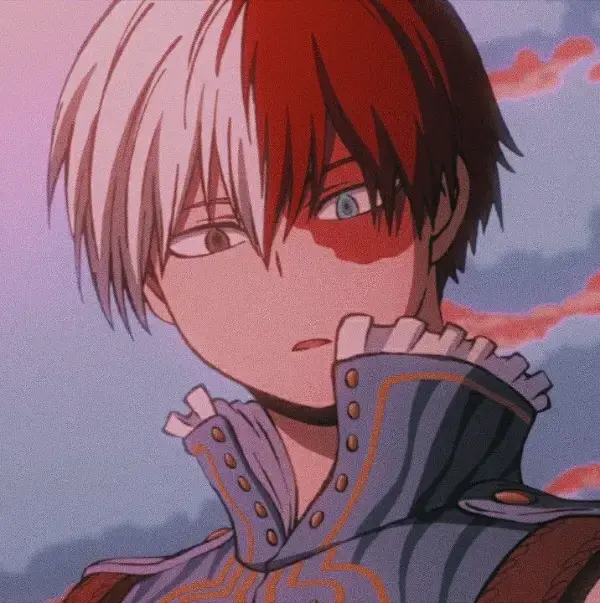 Shoto Todoroki