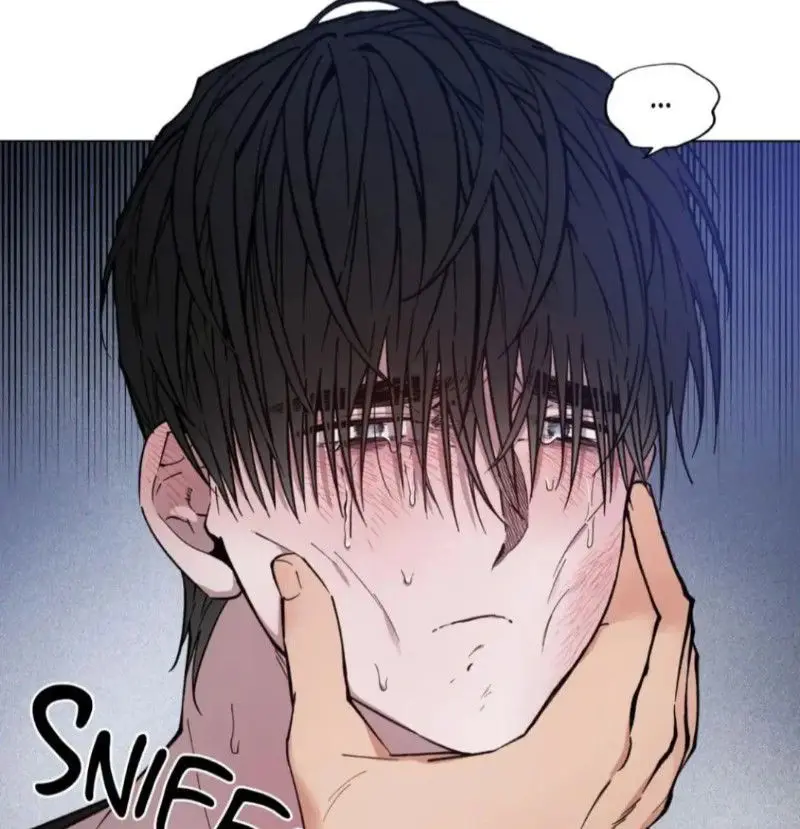 Zan