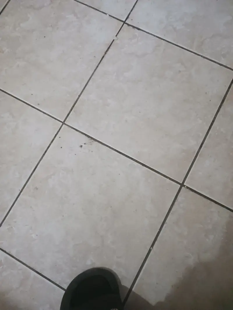 安安