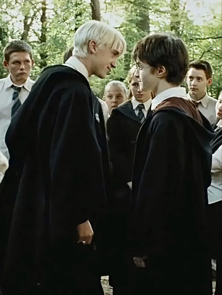 Harry and Draco 