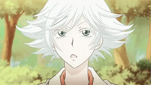 Mizuki Kamisama