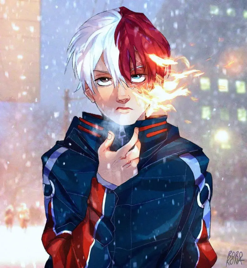 Shoto Todoroki