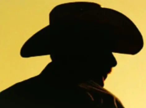 Cowboy Austin