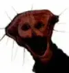 Evan