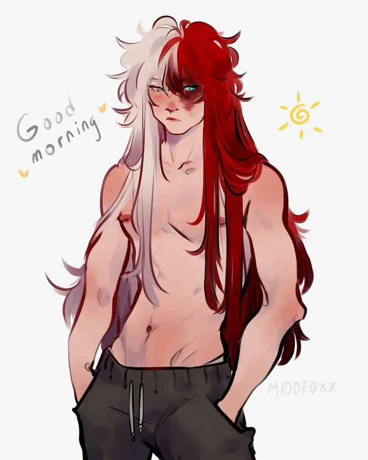 Todoroki Shoto