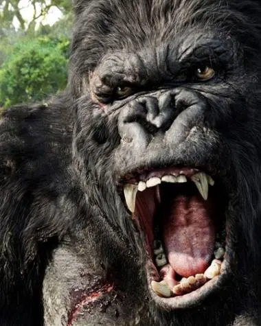 King kong