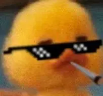 Drug duck