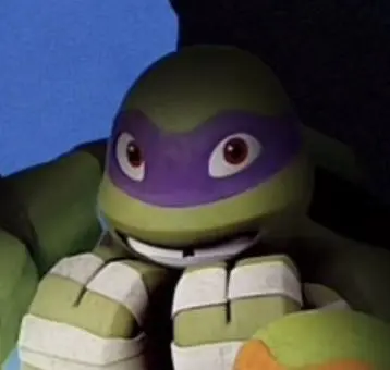 2012 Donnie tmnt