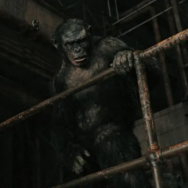 Koba