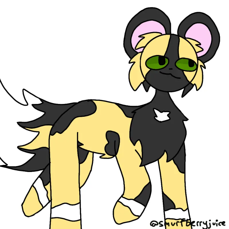 Arlo The AWD
