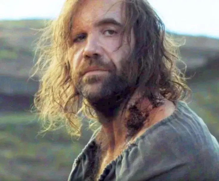 Sandor Clegane (the hound)