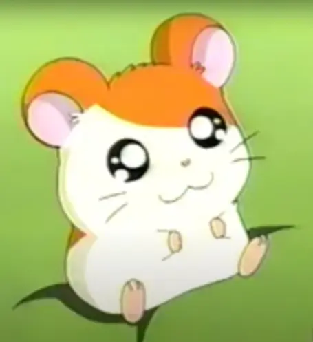 Hamtaro