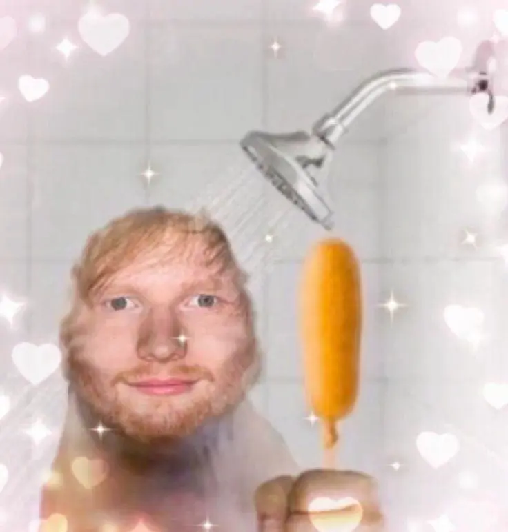 Hotdog Ed sheeren.