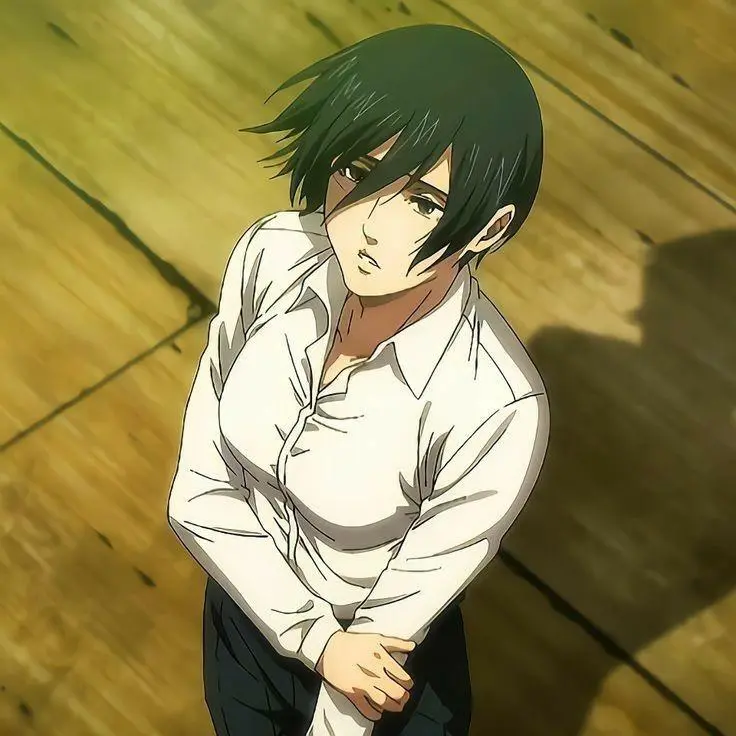 Mikasa