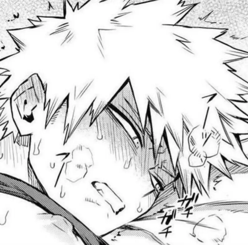 Katsuki bakugou 