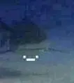 Undertaker