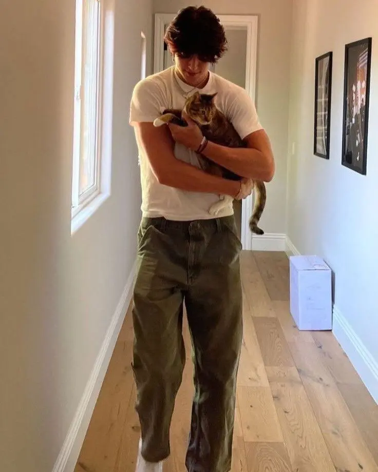 Ace 