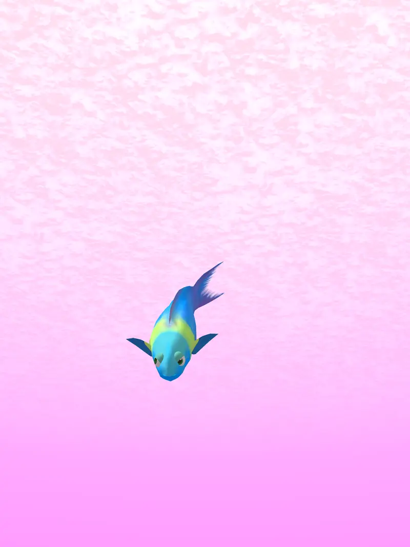 Blunt headed wrasse