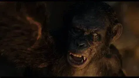 Koba