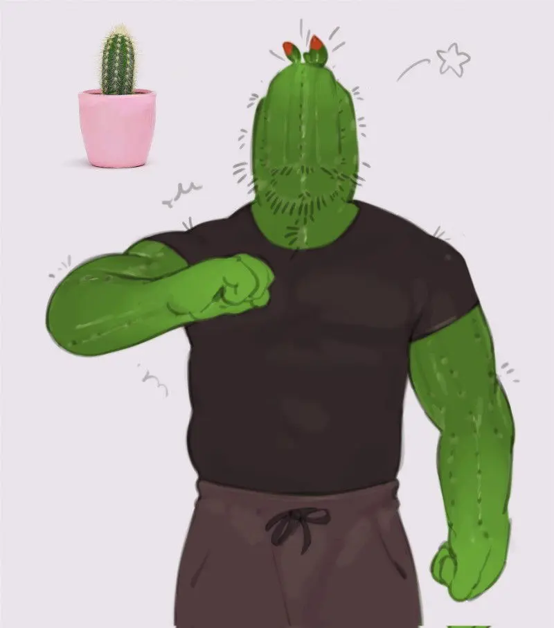 Cactus BF 