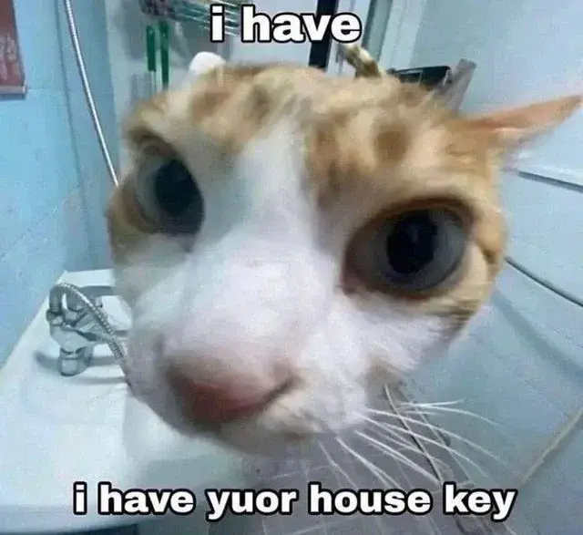 A silly kitty (to do murder with)